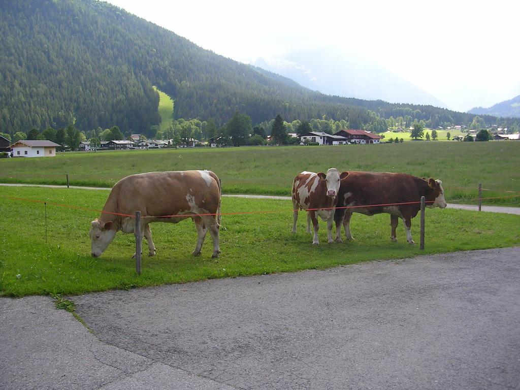 Gaestehaus Bodnerlehen Hotel Schoenau am Koenigsee Bilik gambar